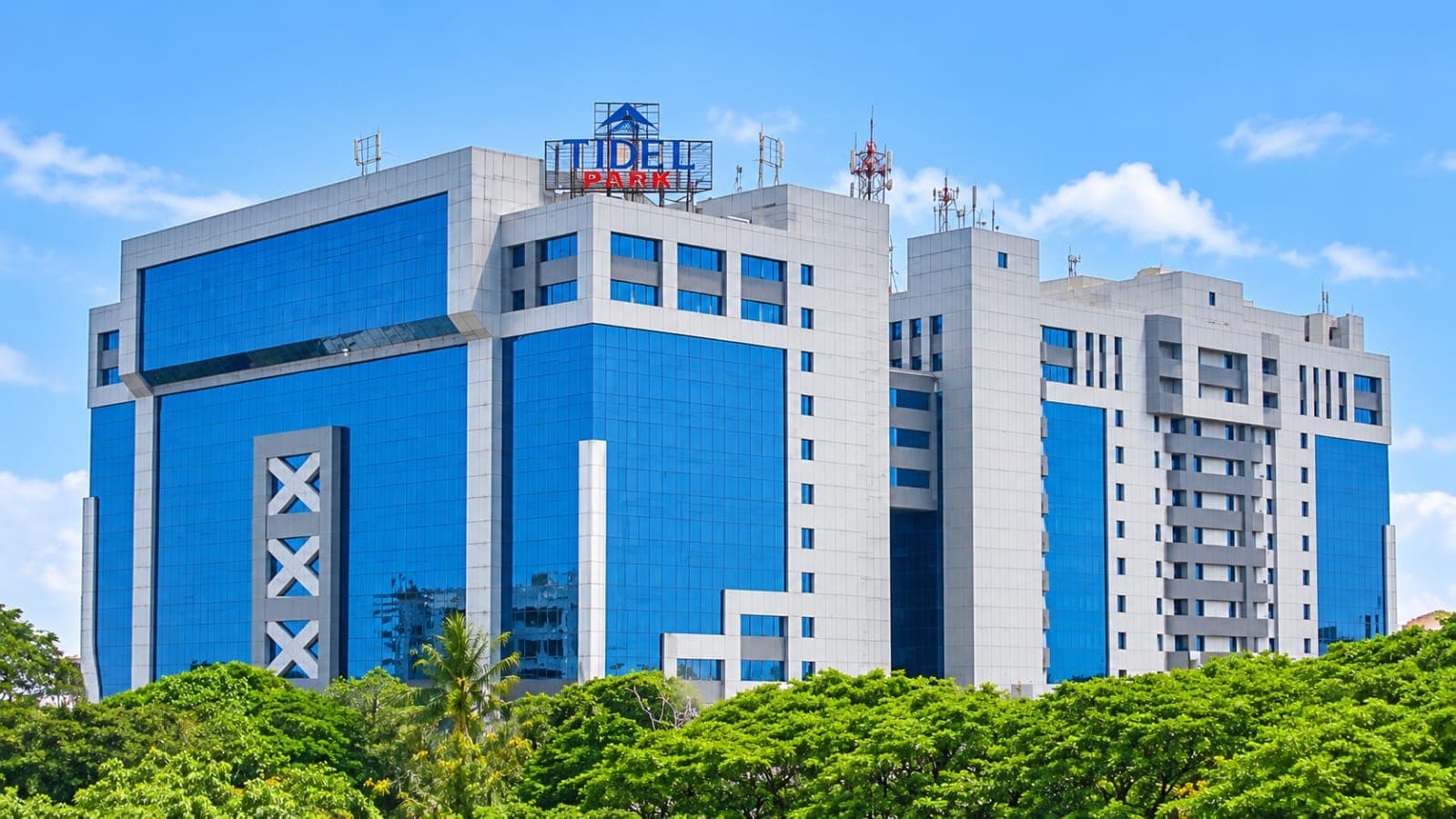 Termite Team Pest Control service area Perungudi Chennai