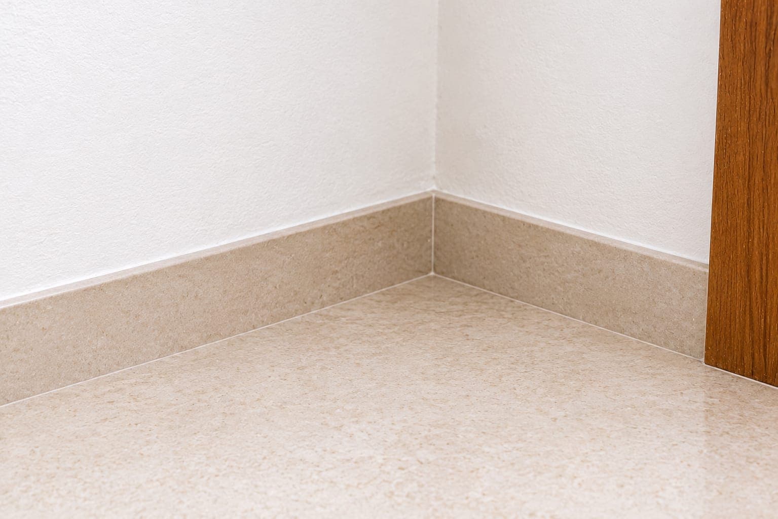 Cockroach Control in Chennai after treatment in Chennai