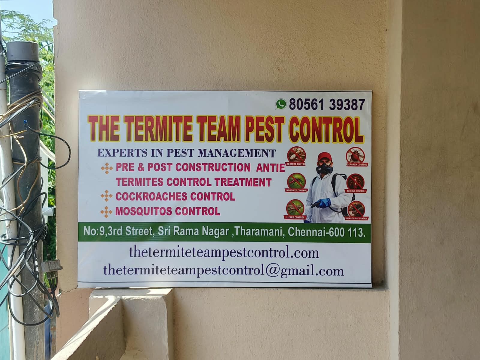 The Termite Team Pest Control office in Chennai